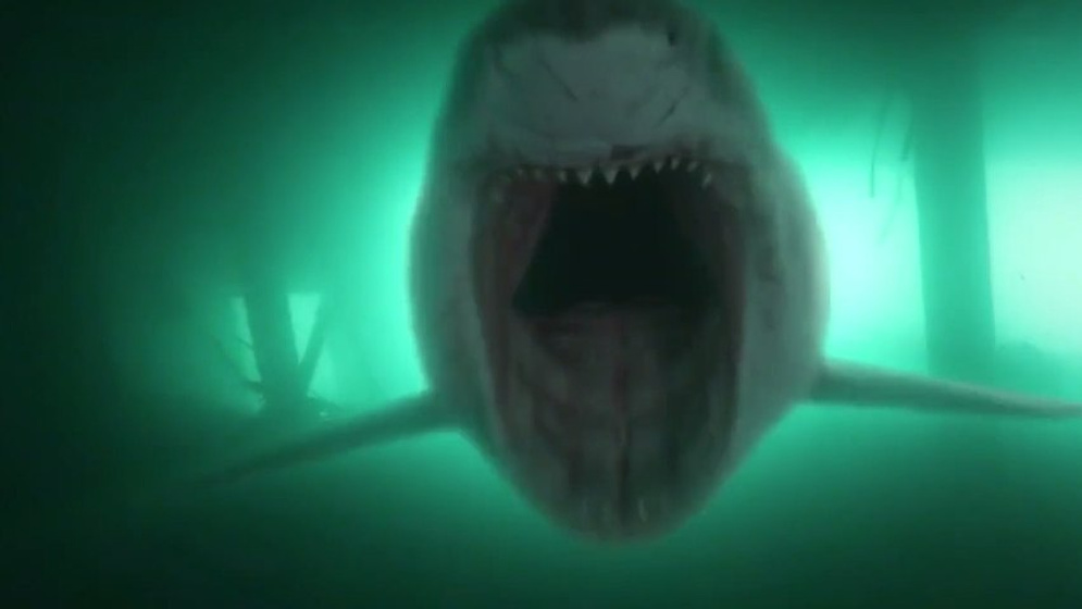 Imagen de Shark Killer
