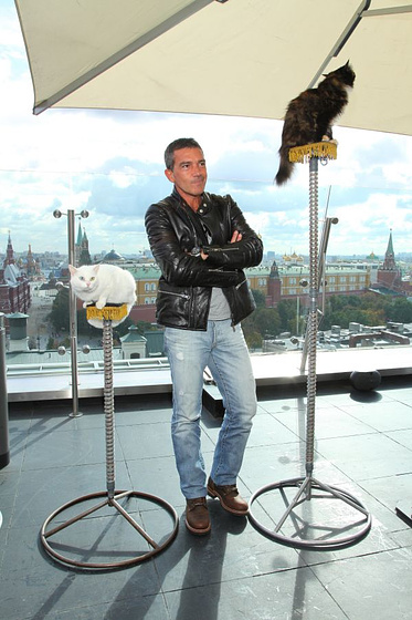 Antonio Banderas en El Gato con Botas (Premiere en Moscú. Septiembre 2011)