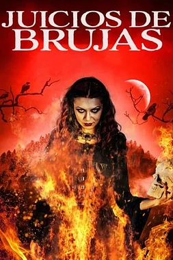 poster of movie Witch Trials