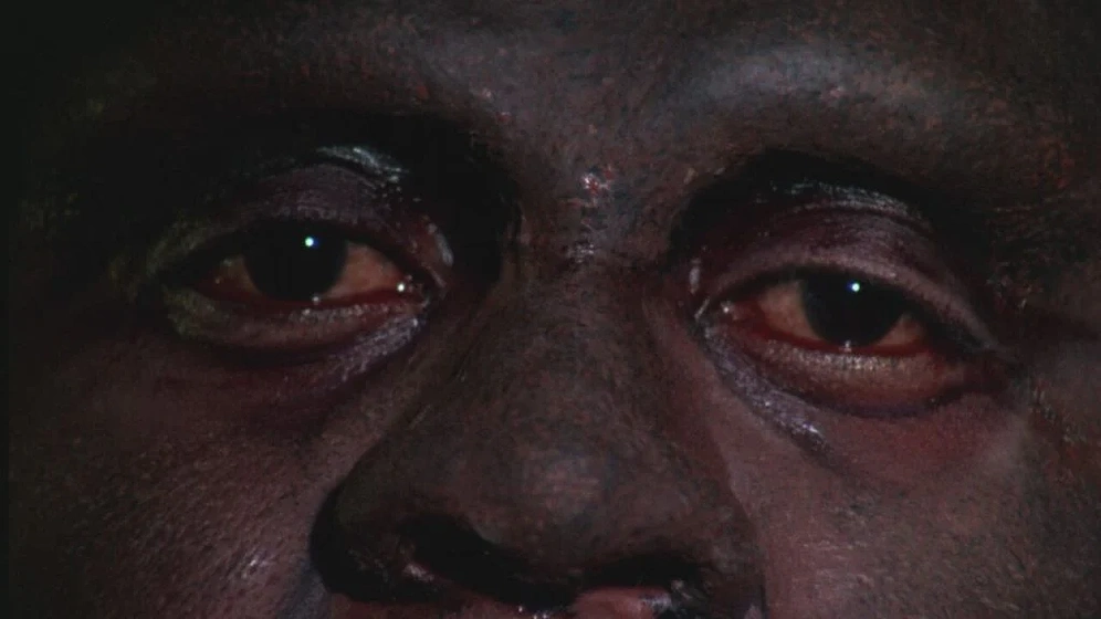Imagen de Blackenstein