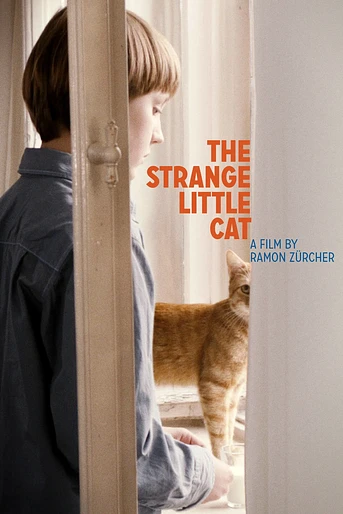 Poster de El Extraño Gatito