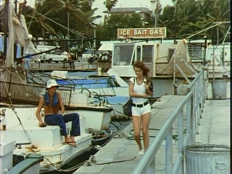 Imagen de The Case of the Smiling Stiffs