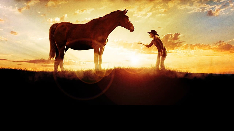 Imagen de The Wild Stallion