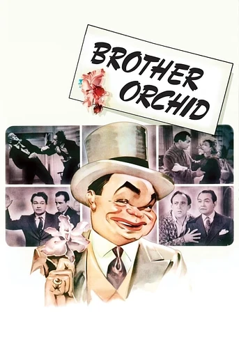 Poster de El Hermano Orquídea