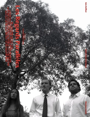 Poster de Les Regards Parallèles