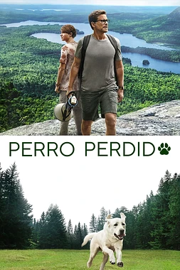poster of movie Perro perdido
