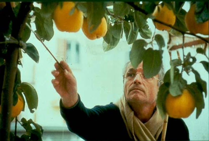Antonio López García en el-sol-del-membrillo