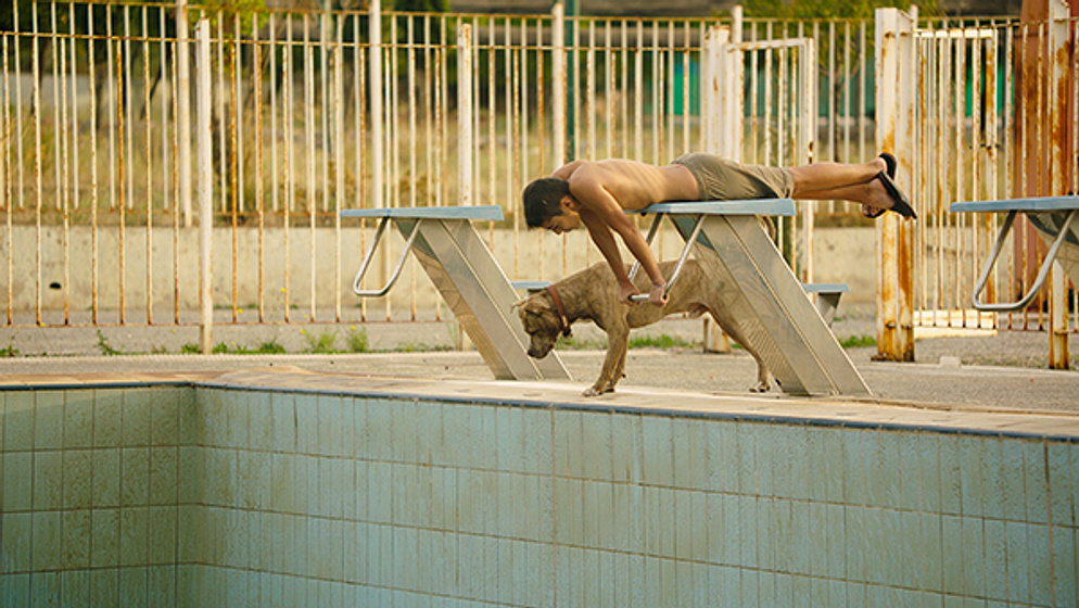 Imagen de Park