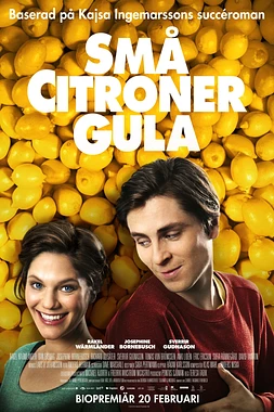 poster of movie Love and lemons