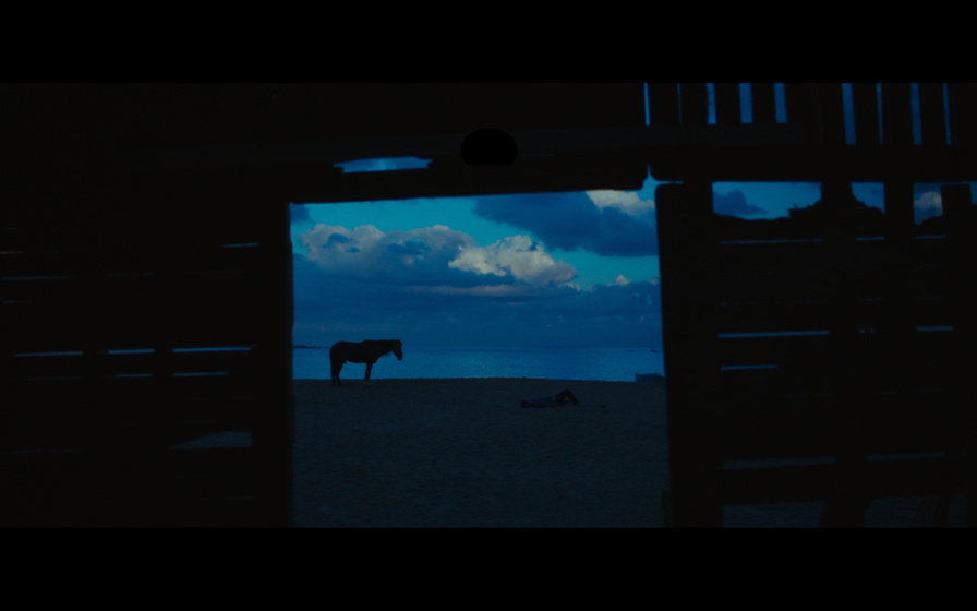 Imagen de My Father's Scent