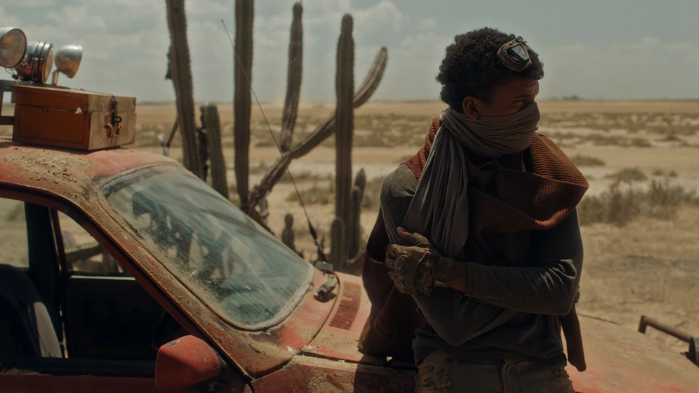 Imagen de semilla-del-desierto