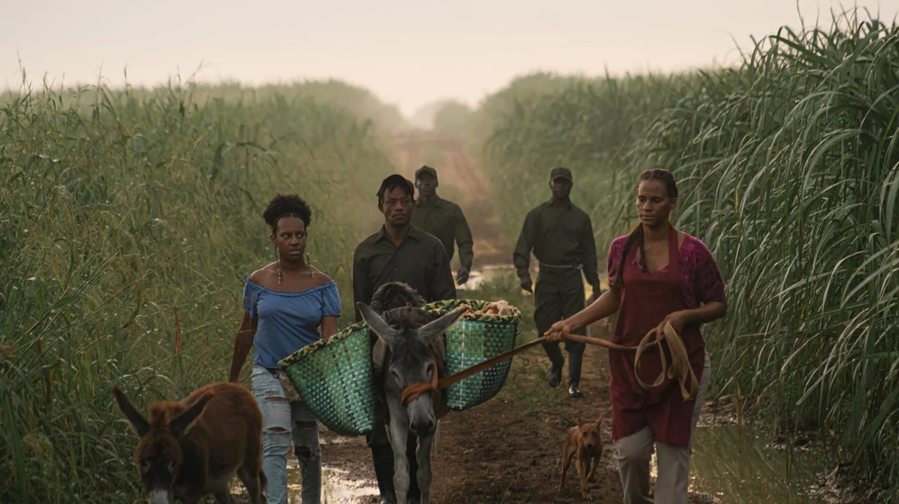 Imagen de sugar-island