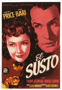 poster of movie El Susto