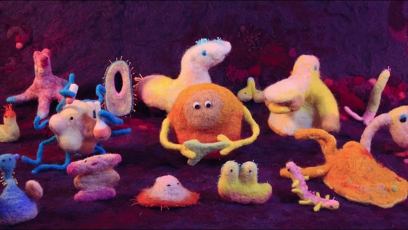 Imagen de Descifra tu salud: Los secretos del intestino