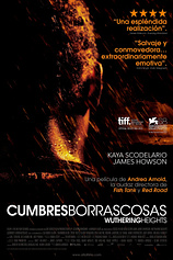 poster of movie Cumbres Borrascosas (2011)