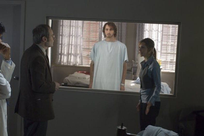 Sarah Michelle Gellar y Lee Pace en Posesión