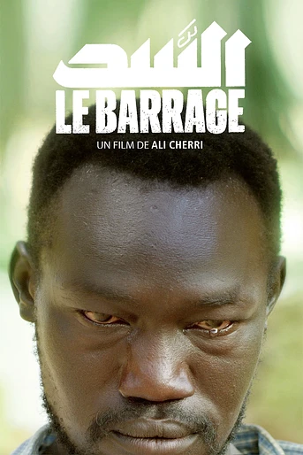 Poster de La Presa