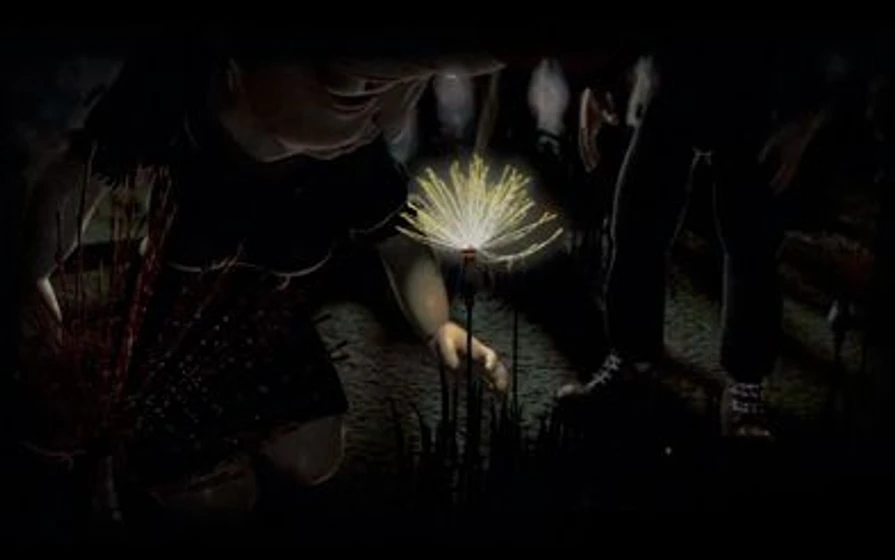 Imagen de cornee