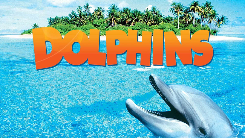 Imagen de Delfines