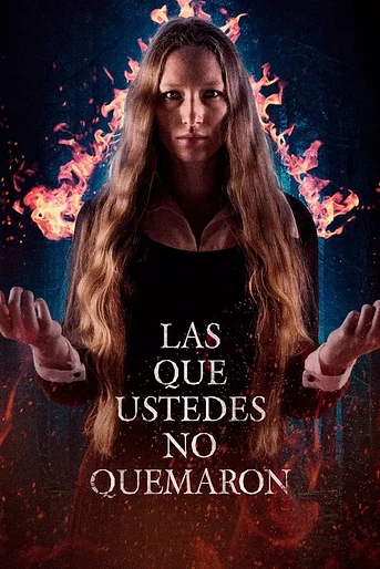 Poster de The Ones You Didn’t Burn