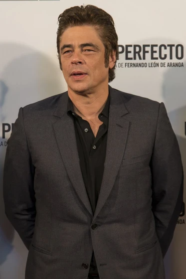Benicio Del Toro en un-dia-perfecto-2014 (Photocall en Madrid. Agosto 2015)