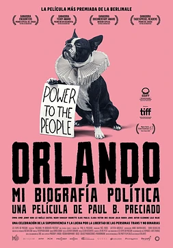 poster of movie Orlando, mi Biografía Política