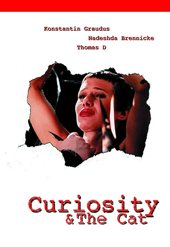 Poster de Curiosity & the Cat
