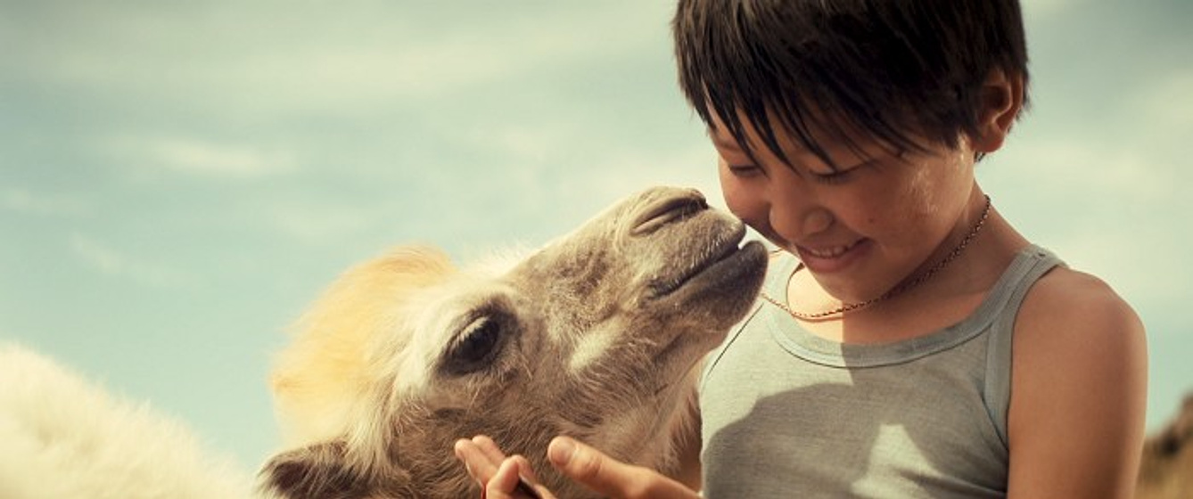 Imagen de Celestíal Camel