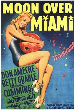 poster of movie Se Necesitan Maridos