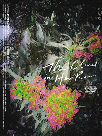 Poster de The Cloud in Her Room