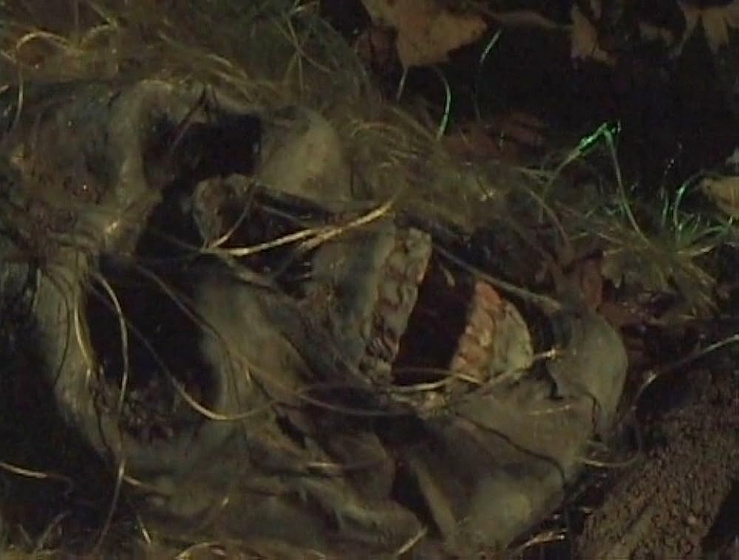 Imagen de bone-sickness