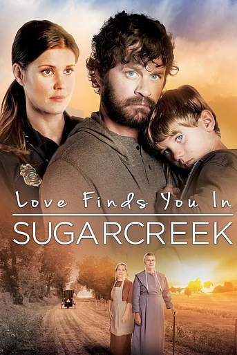 Poster de Un Extraño en Sugarcreek