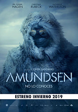 poster of movie Amundsen