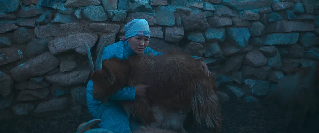 Imagen de The Wolves always come at Night