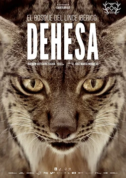 Dehesa, el Bosque del lince ibérico