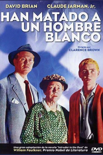 Poster de Han matado a un hombre blanco