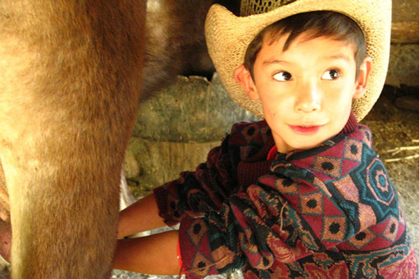 Imagen de Lupe el de la vaca