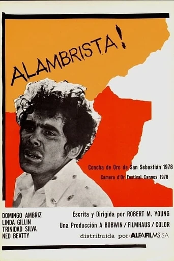 Poster de Alambrista!