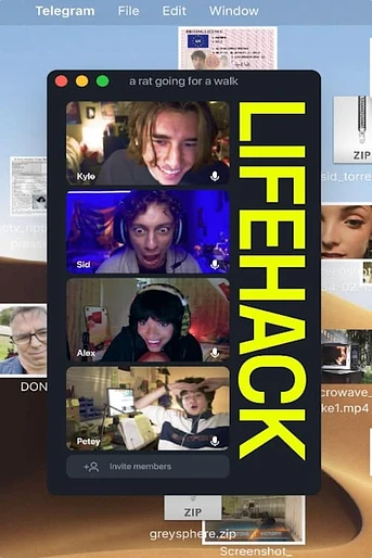 Poster de LifeHack