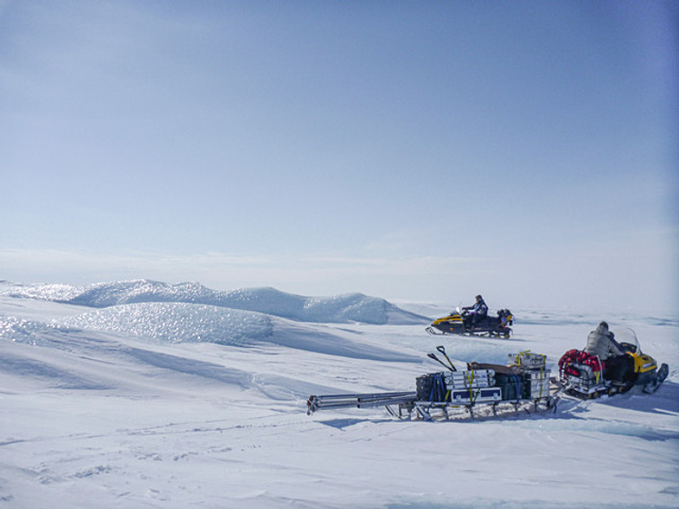 Imagen de Iceman