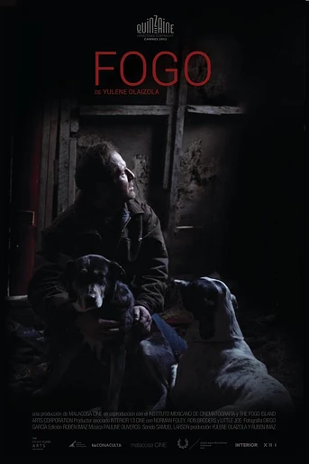 Poster de Fogo