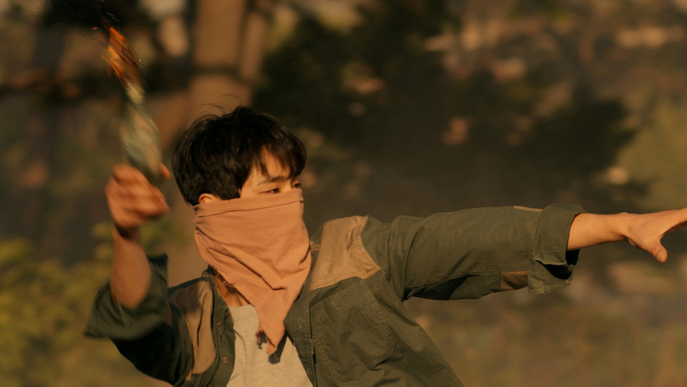 Imagen de swallow-2023