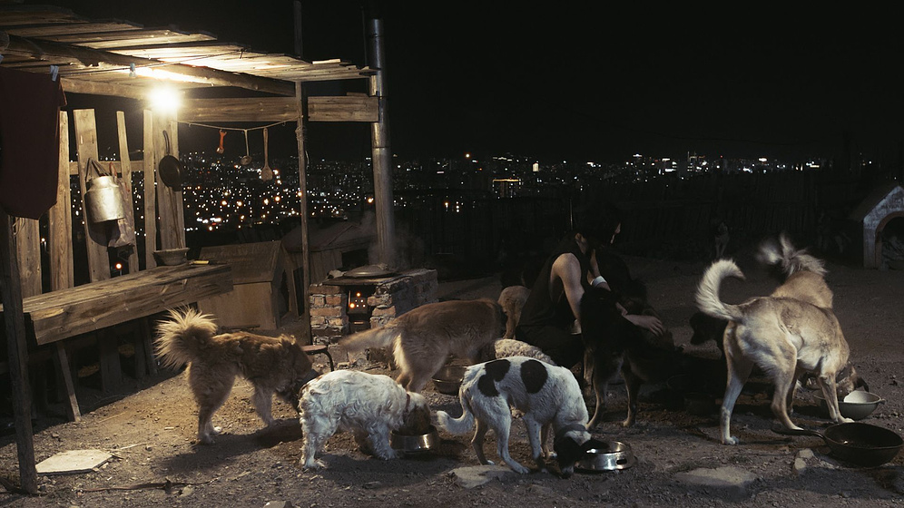Imagen de Silent City Driver