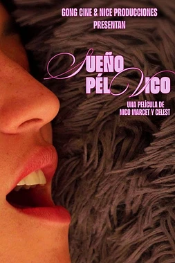 Sueño Pélvico