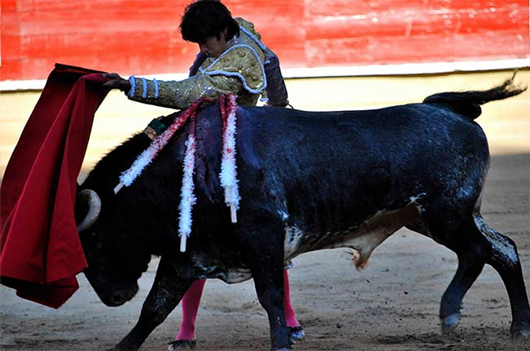 Imagen de Arena