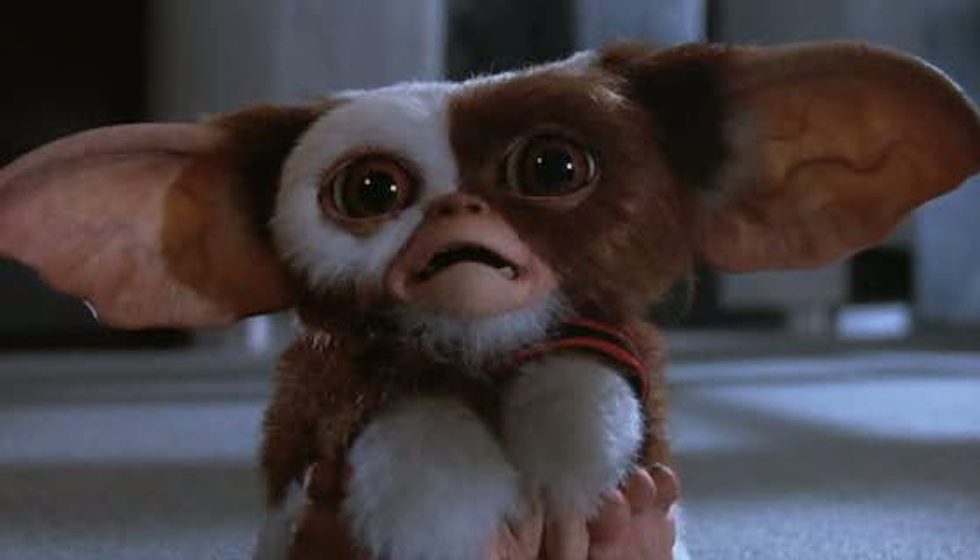 Imagen de Gremlins 2: La nueva generación (Gizmo)