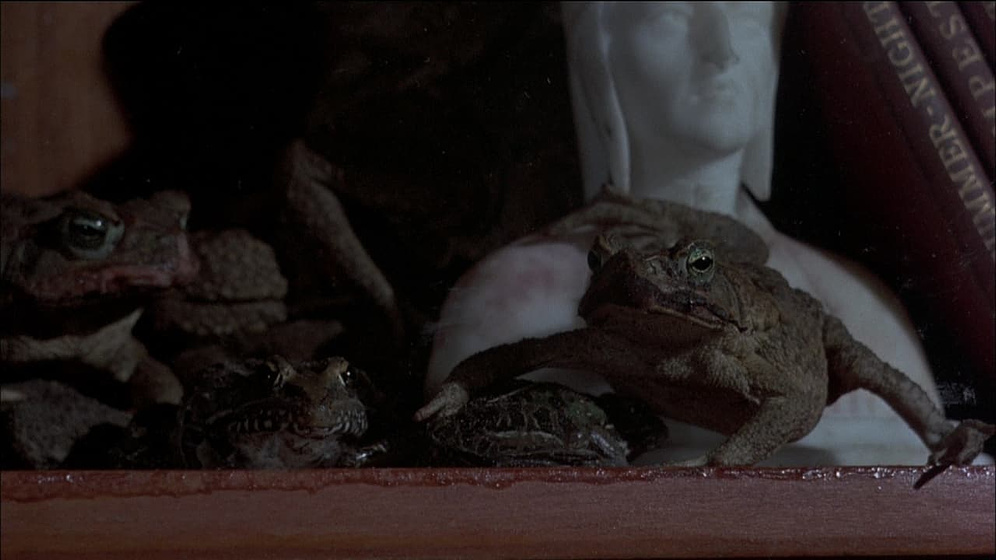 Imagen de Frogs (Ranas)