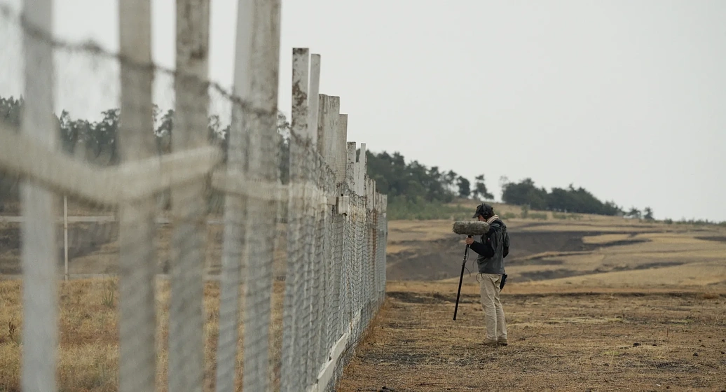 Imagen de An Open Field