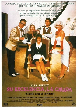 poster of movie Su Excelencia, La Criada