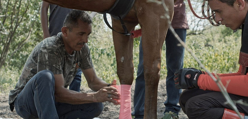 Imagen de Los Tres Polos